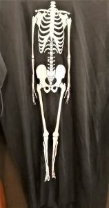 Kids Costumes to Hire - Skeleton Dress - CHILD